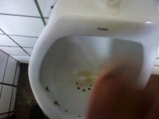 punheta no banheiro publico